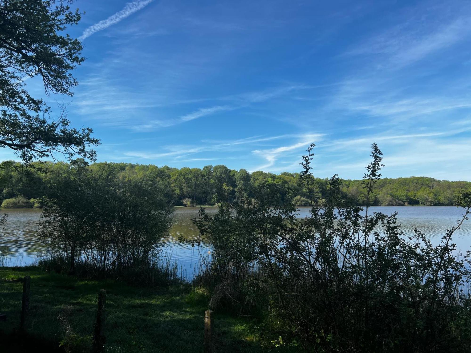 Chalet Au Bord De L'Etang 4 Pers Les Boulmiers ภายนอก รูปภาพ