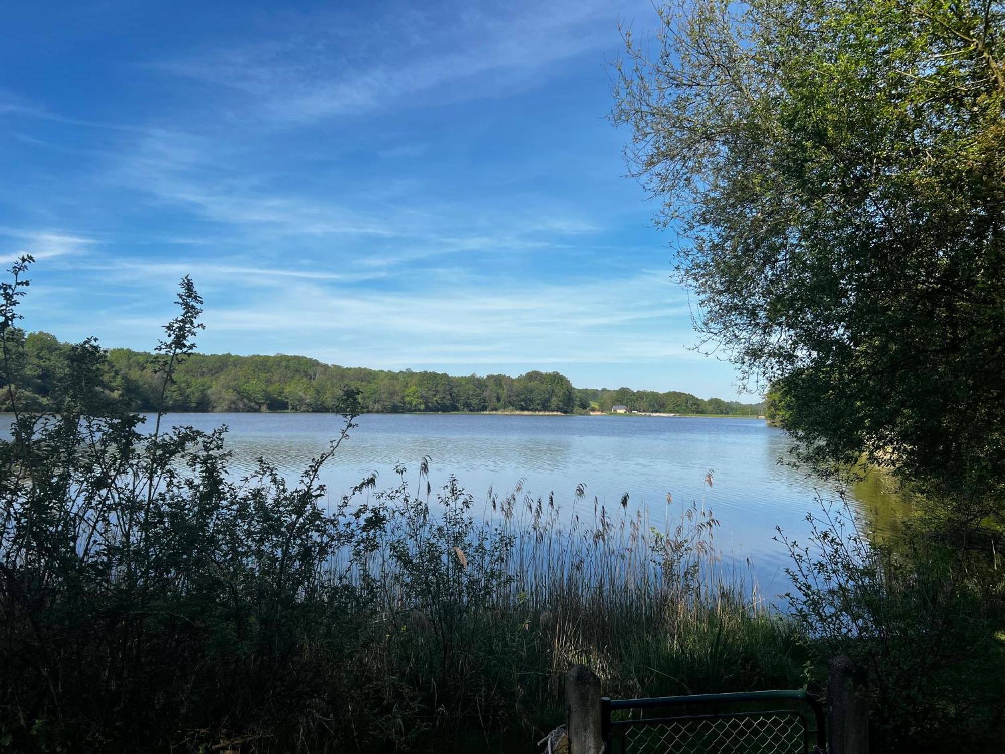 Chalet Au Bord De L'Etang 4 Pers Les Boulmiers ภายนอก รูปภาพ